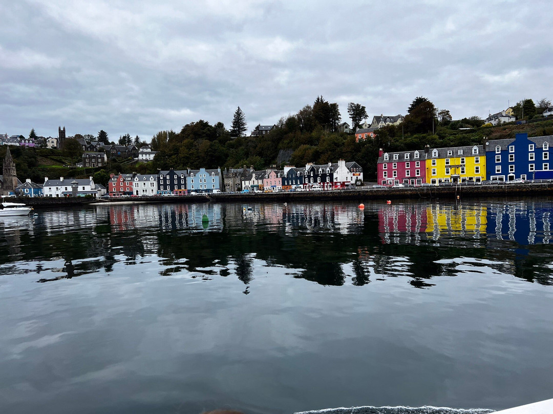 Mull Wildlife Breaks-Salen必去景点