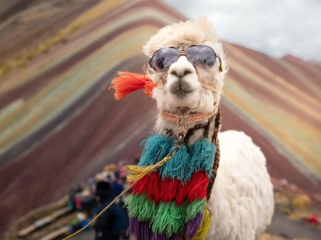 Association Socorro Andino Peruano S.A.P-Yungay必去景点