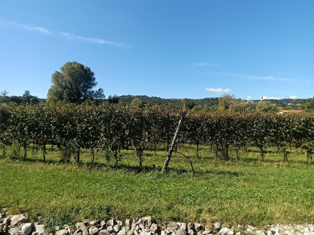 Conti Thun-Puegnago sul Garda必去景点