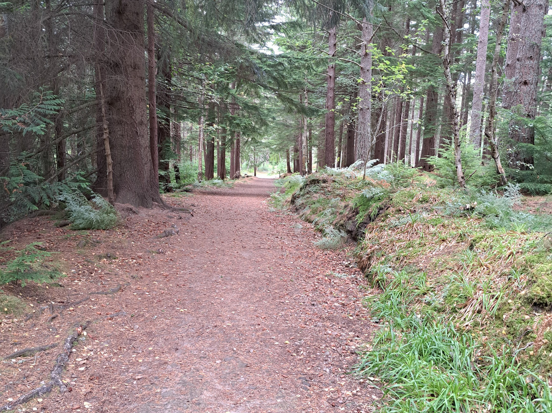 Winding Walks-Fochabers必去景点