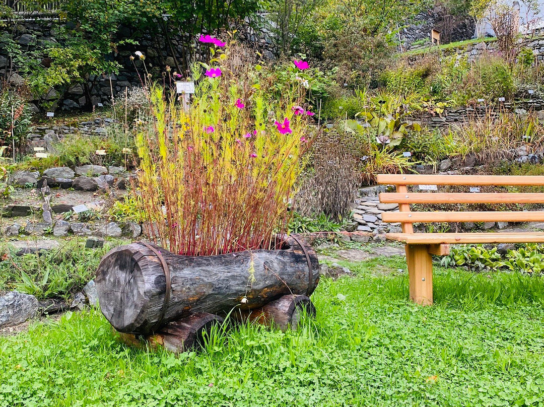 Giardino Botanico Alpino "Rezia"-博尔米奥必去景点