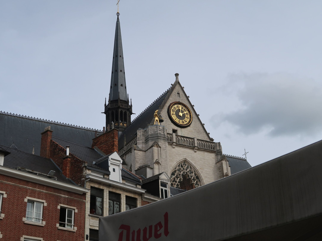 Saint Peter's Church (Sint-Pieterskerk)-鲁汶必去景点