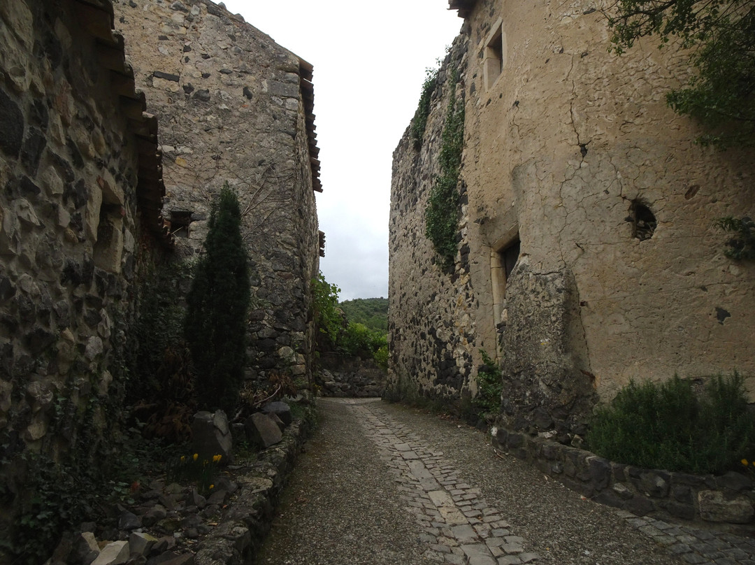 Chateau de Rochemaure-Rochemaure必去景点