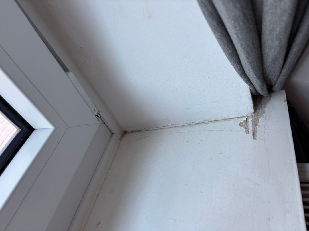 Maasholm酒店住宿-Aurora