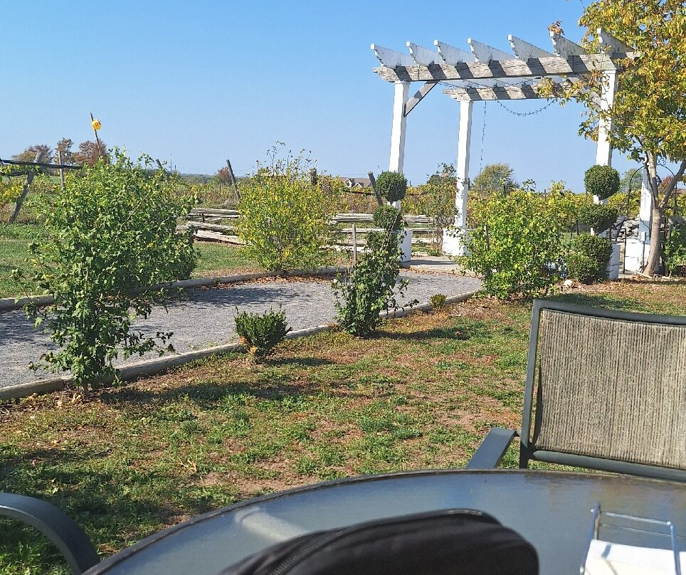 TerraCello Winery-Bloomfield必去景点