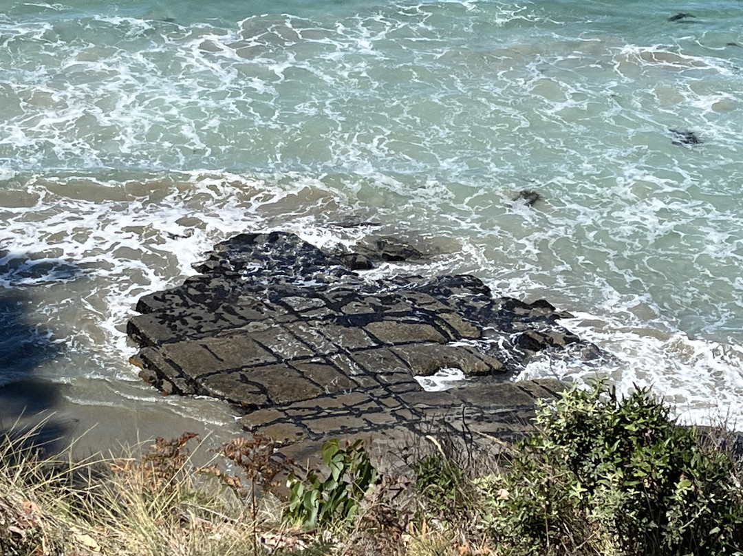 Tessellated Pavement-伊格尔霍克内克必去景点