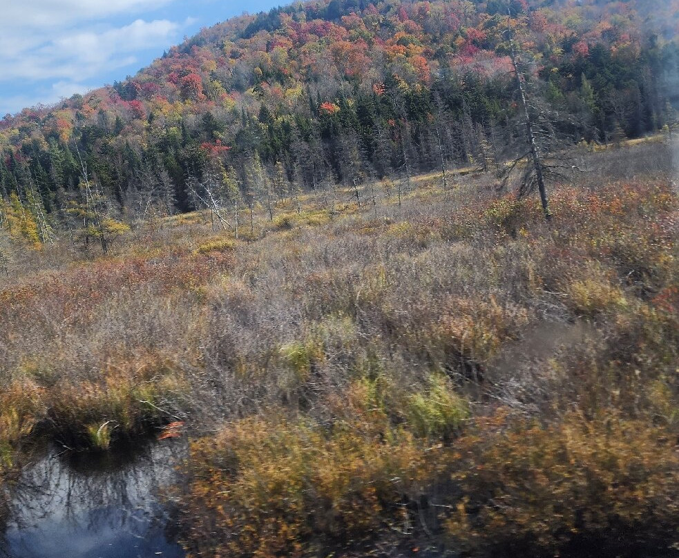 Adirondack Railroad-Utica必去景点