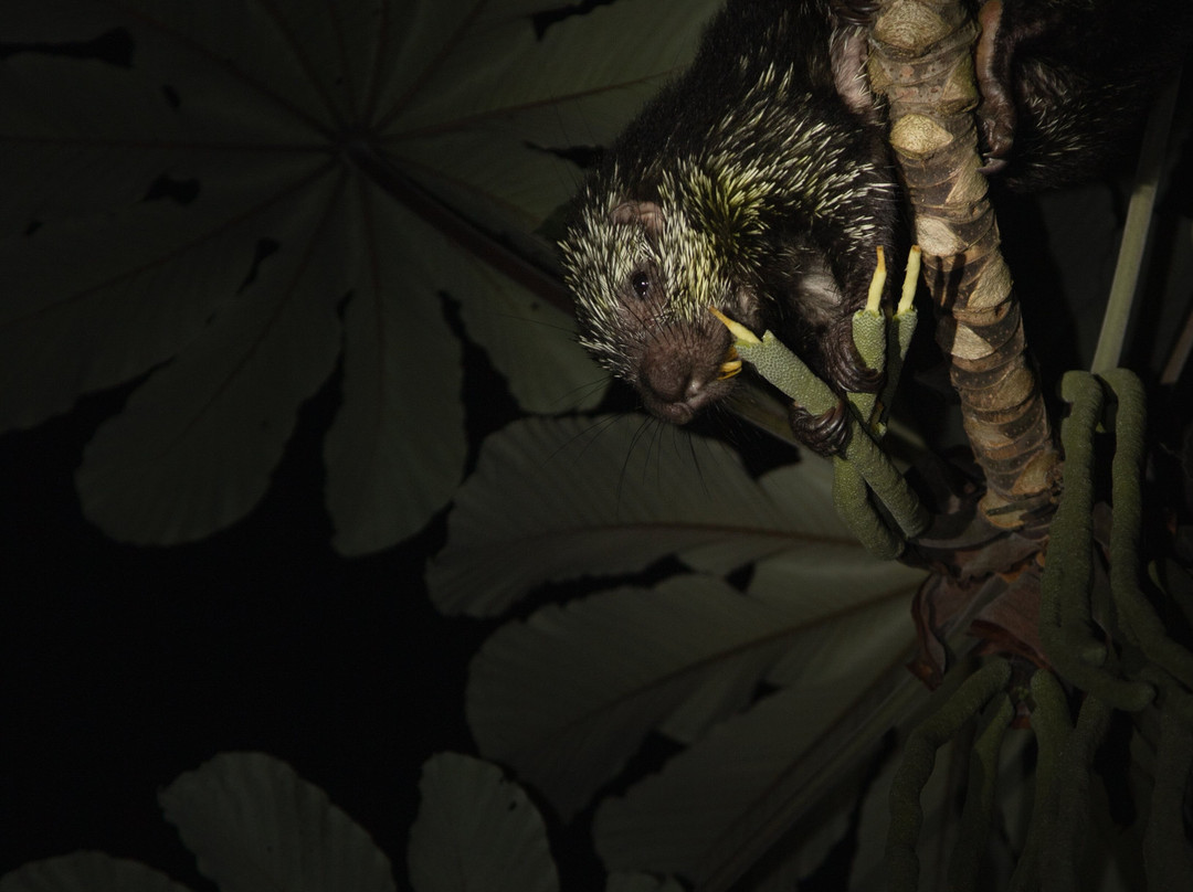 Ecological Sanctuary-圣埃伦娜必去景点