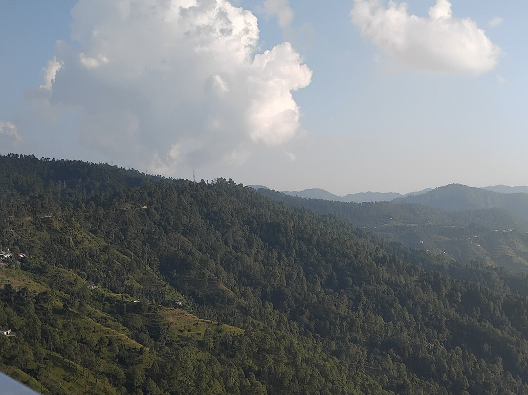 Hotel Himalaya Cedar Artola
