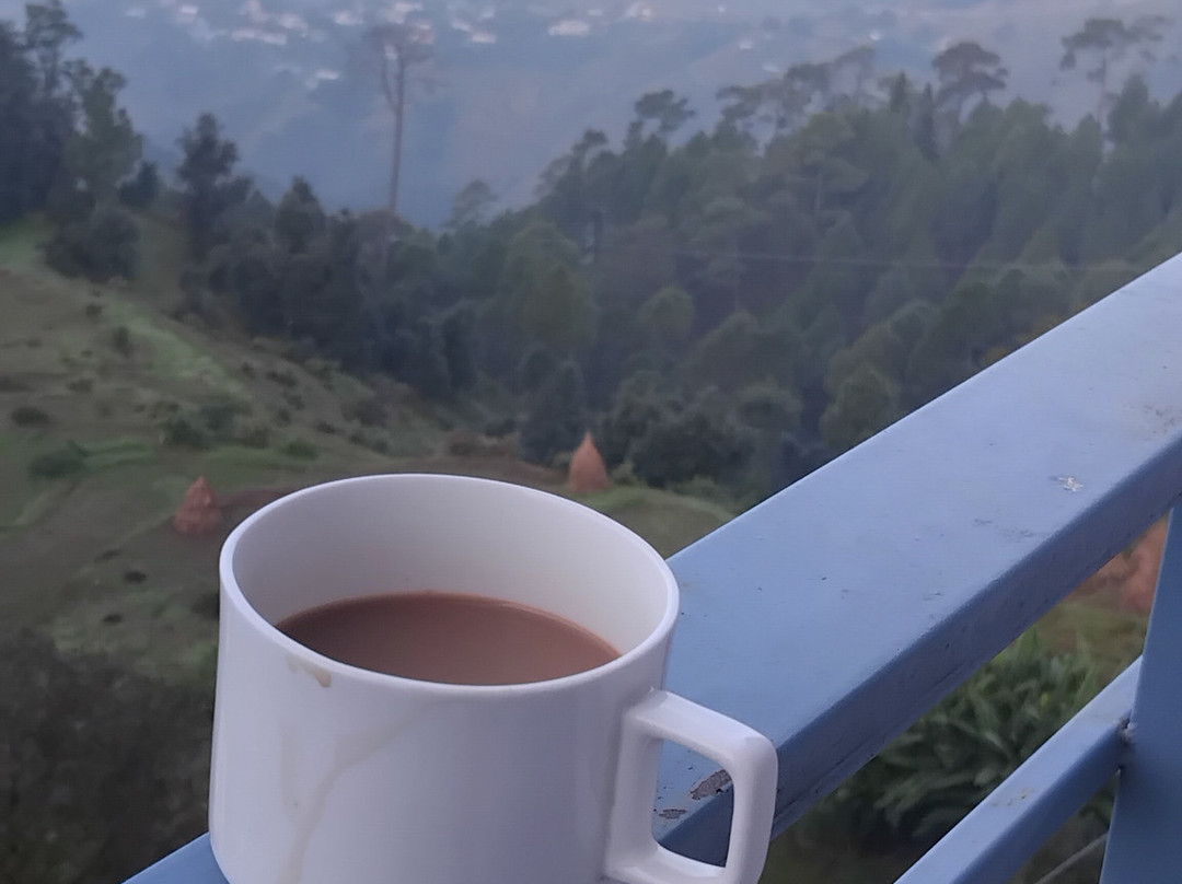 Hotel Himalaya Cedar Artola
