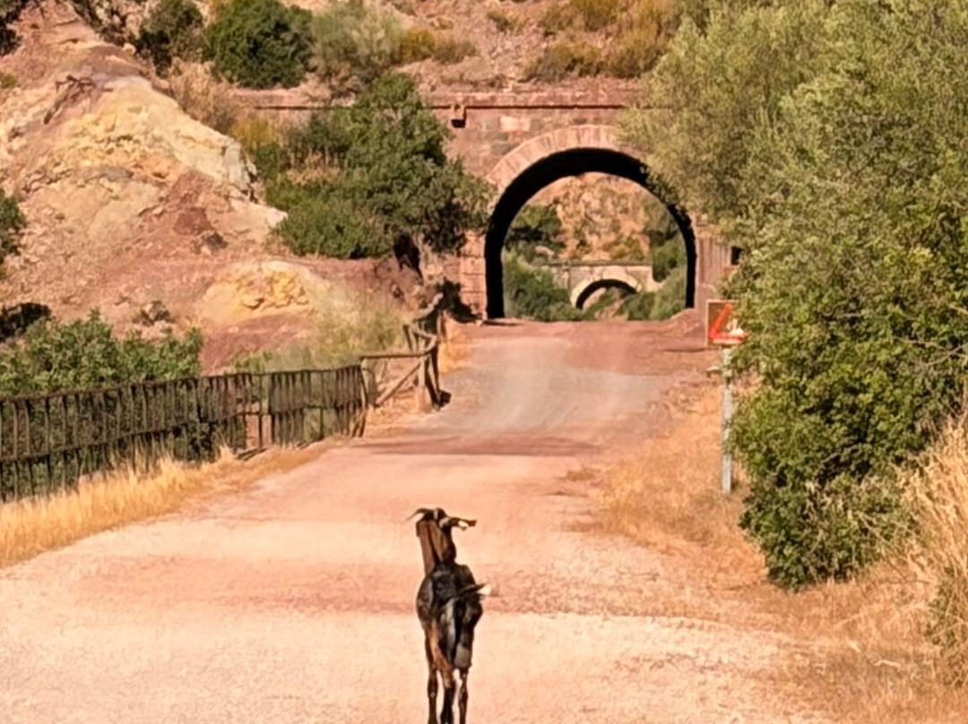 Via Verde de la Sierra-Olvera必去景点