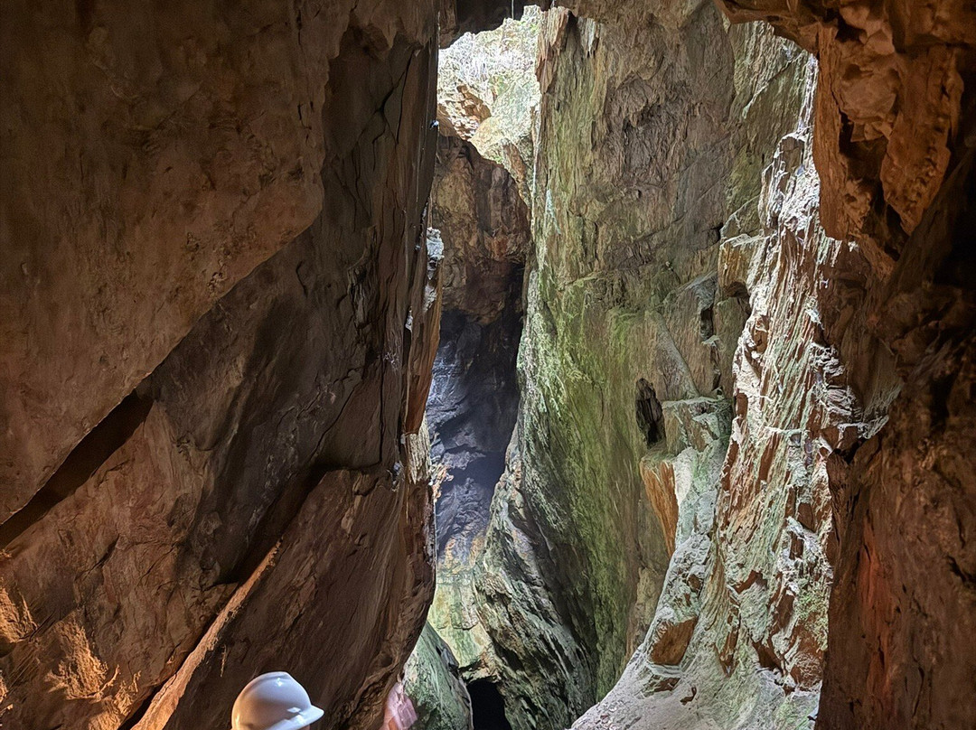 Consolidated Gold Mine-达洛尼加必去景点