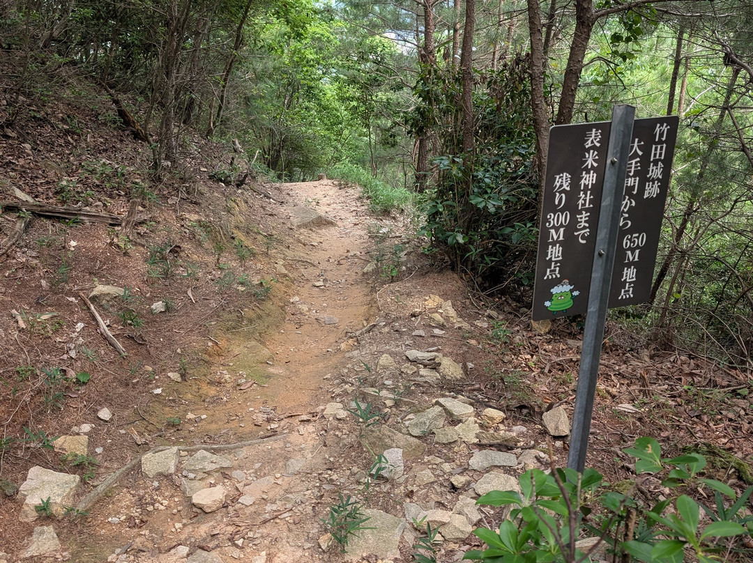 Takeda Castle Ruins-朝来市必去景点