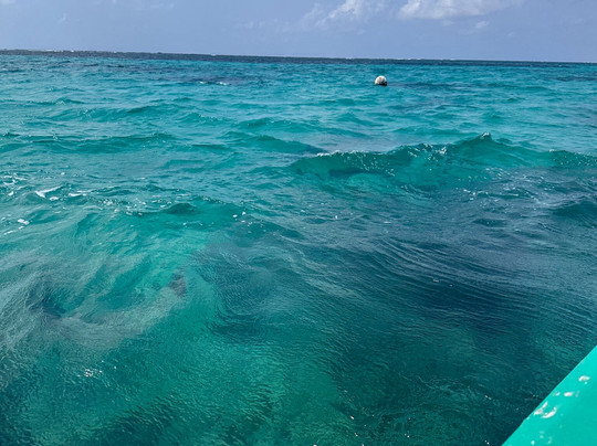 Kenya Safari Azzurro-瓦塔木必去景点