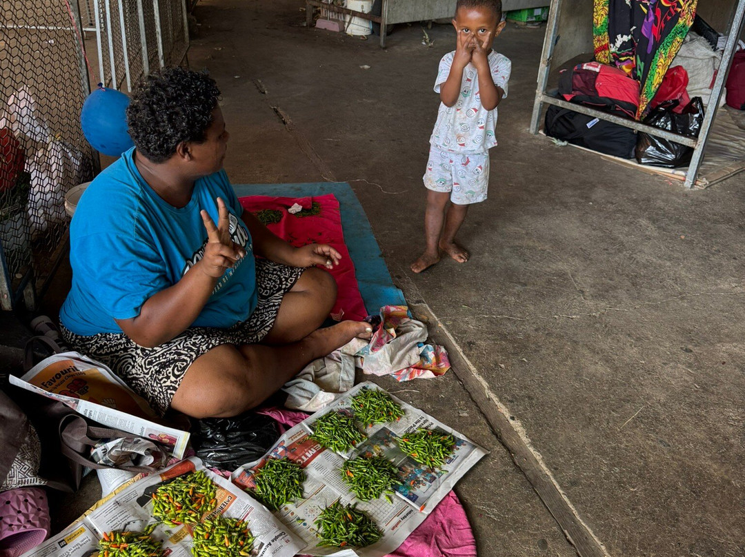 Rosie Holidays Fiji-纳迪市必去景点