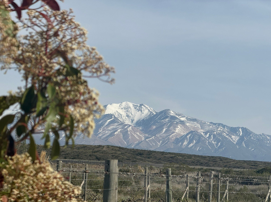 Mendoza Viagem-门多萨必去景点