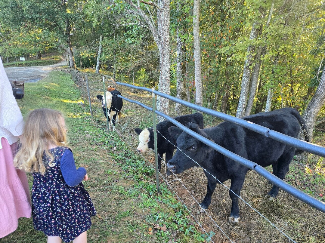 Red Apple Barn-Ellijay必去景点