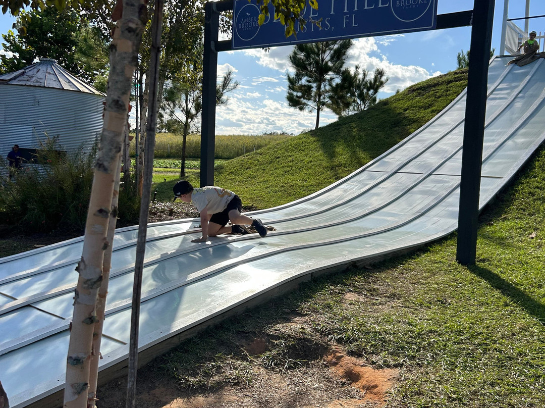 Amber Brooke Farms Eustis-Eustis必去景点