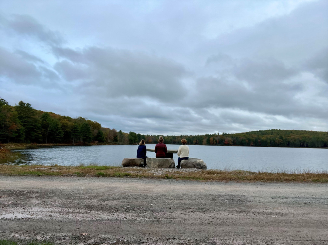 The Bradstan Boutique Hotel主图