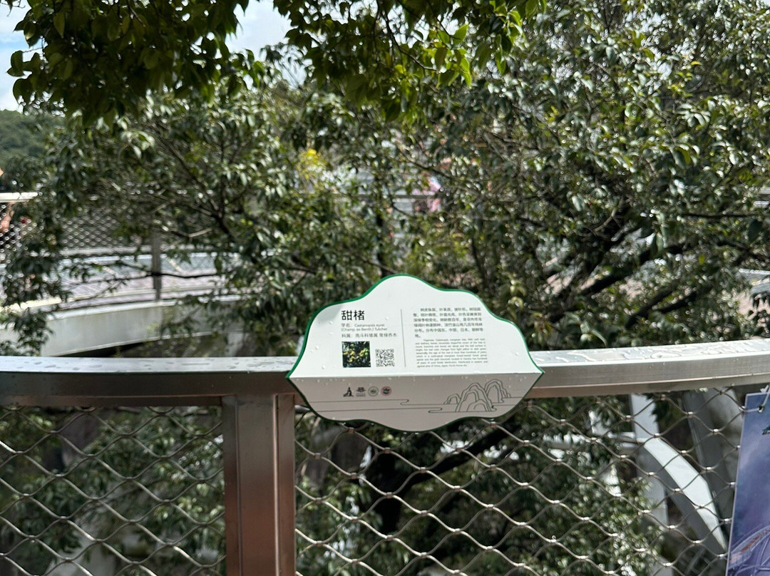 Ruyi Bridge at Shenxianju-台州市必去景点