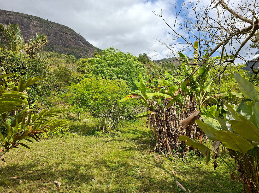 Reserve Peyrieras Madagascar Exotic-Marozevo必去景点