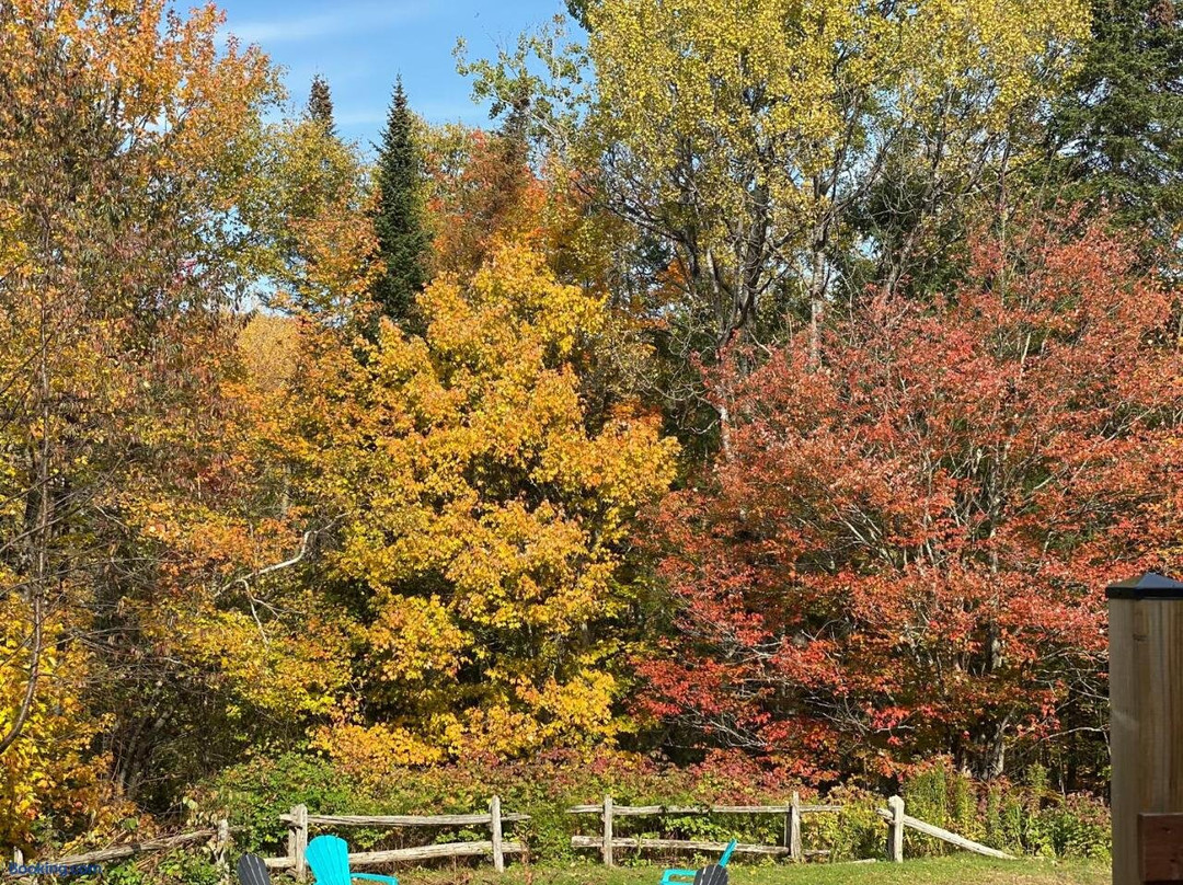 Le Vent du Nord主图