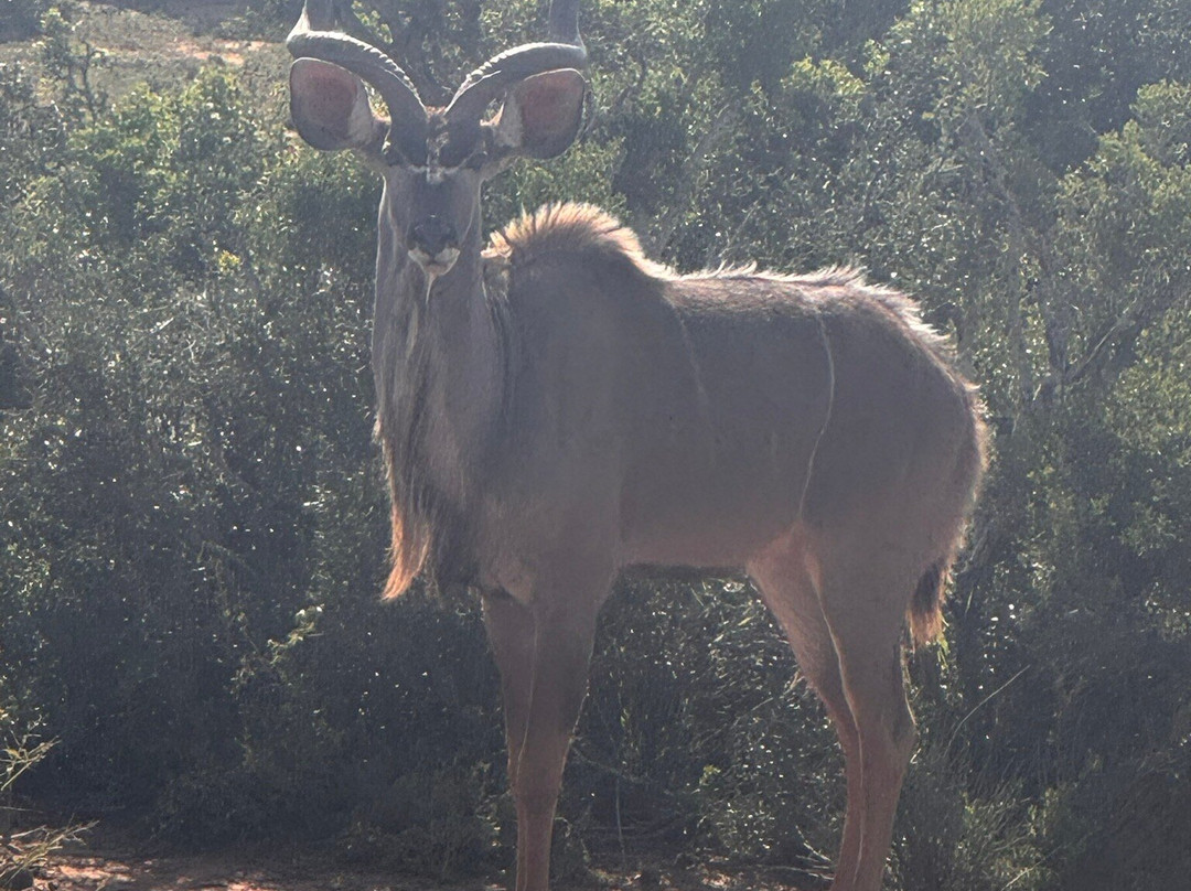 De Old Drift Guest Farm主图