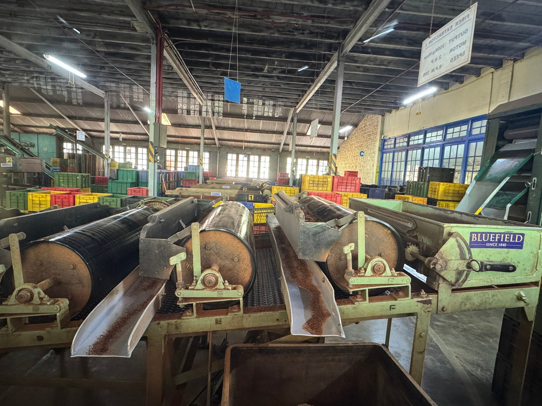 TS ruban travel router-Nanu Oya必去景点