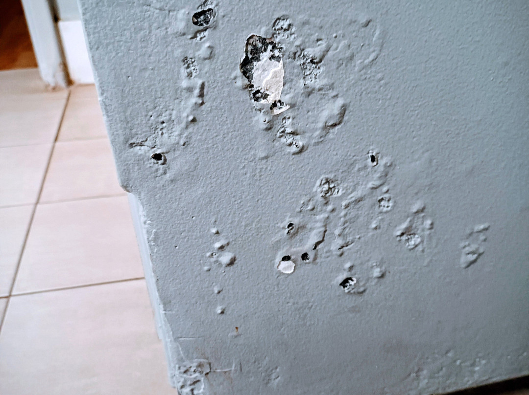 Shark Bay Holiday Cottages主图