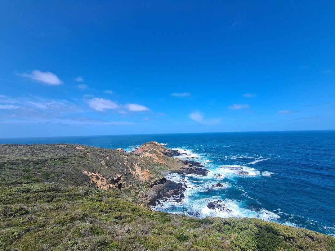 Cape Schanck Lighthouse-斯参克岬必去景点