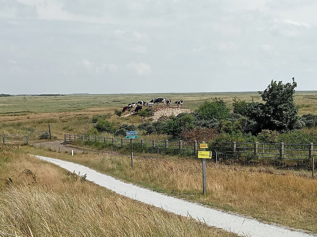 Kwelderpad-Schiermonnikoog必去景点