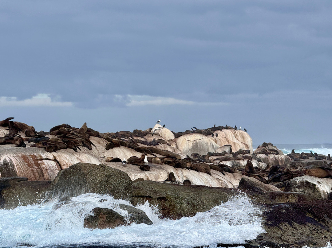 Drumbeat Charters-木湾必去景点