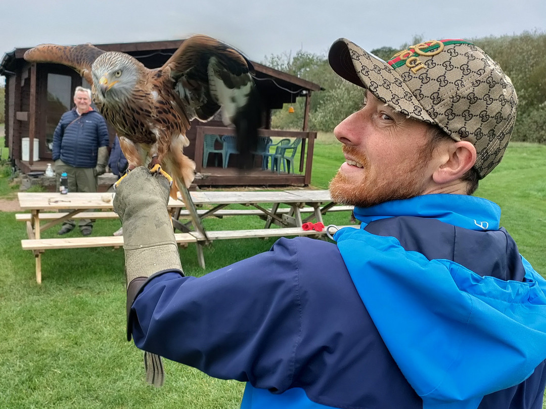 Bird on the Hand Falconry Experiences-Church Langton必去景点