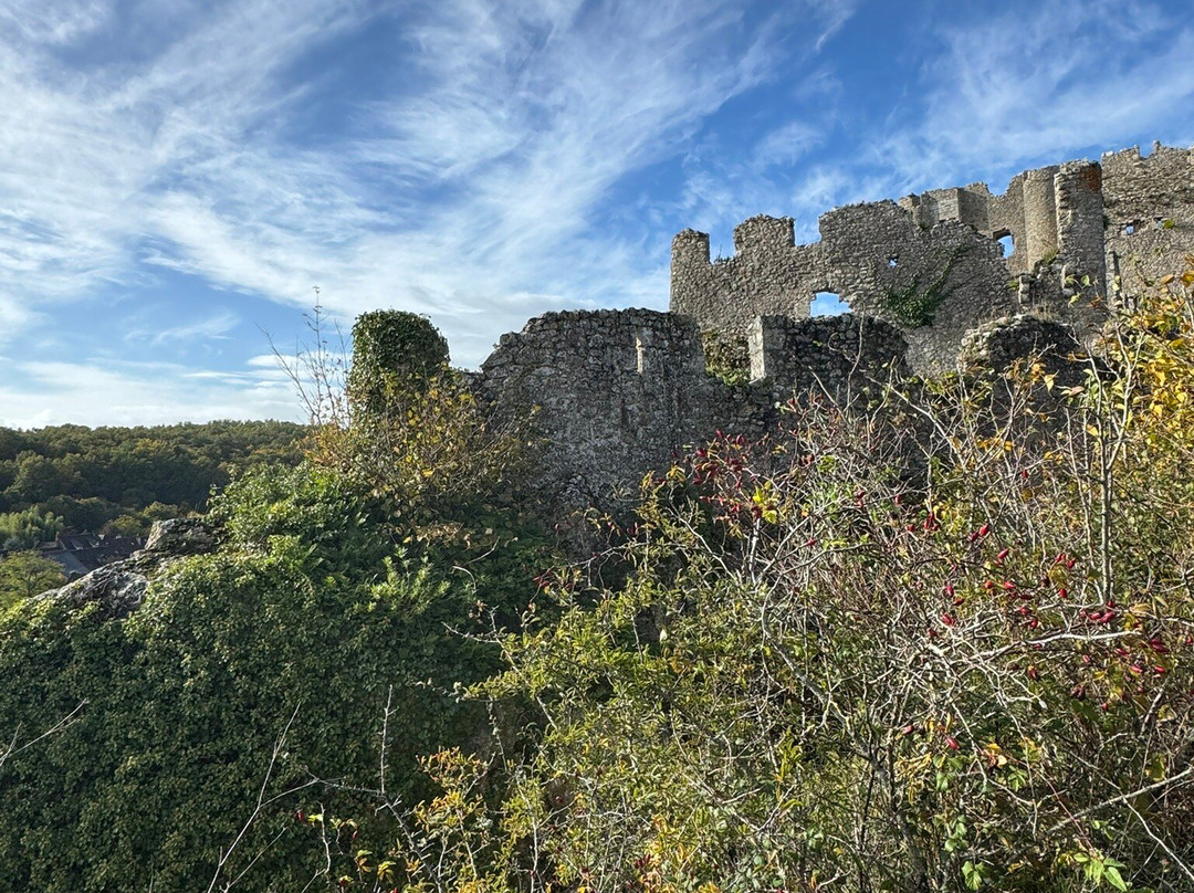 Château d'Angles-sur-l'Anglin-Angles sur l'Anglin必去景点