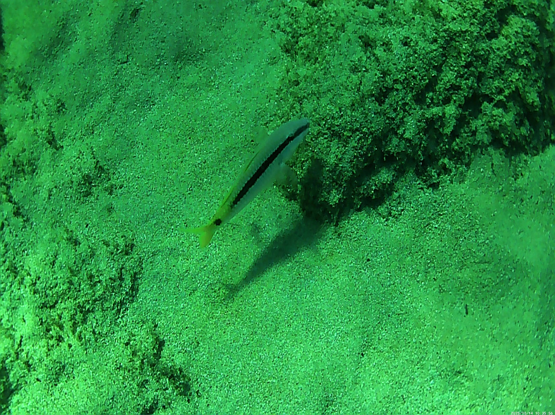 Salty Descents-Kalyves必去景点