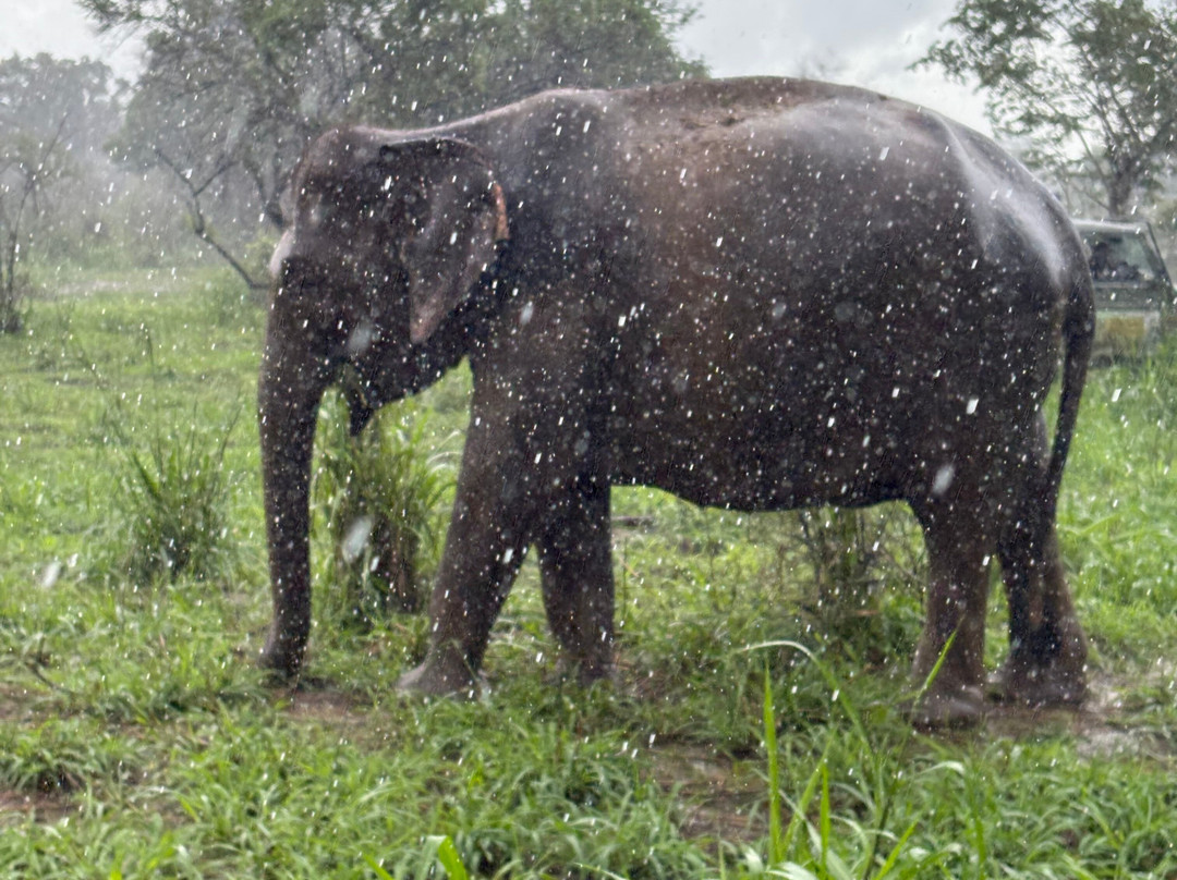 Kalum Jeep Safari-哈巴拉娜必去景点