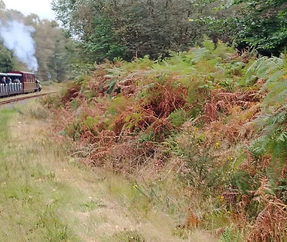 Ravenglass And Eskdale Railway-Ravenglass必去景点