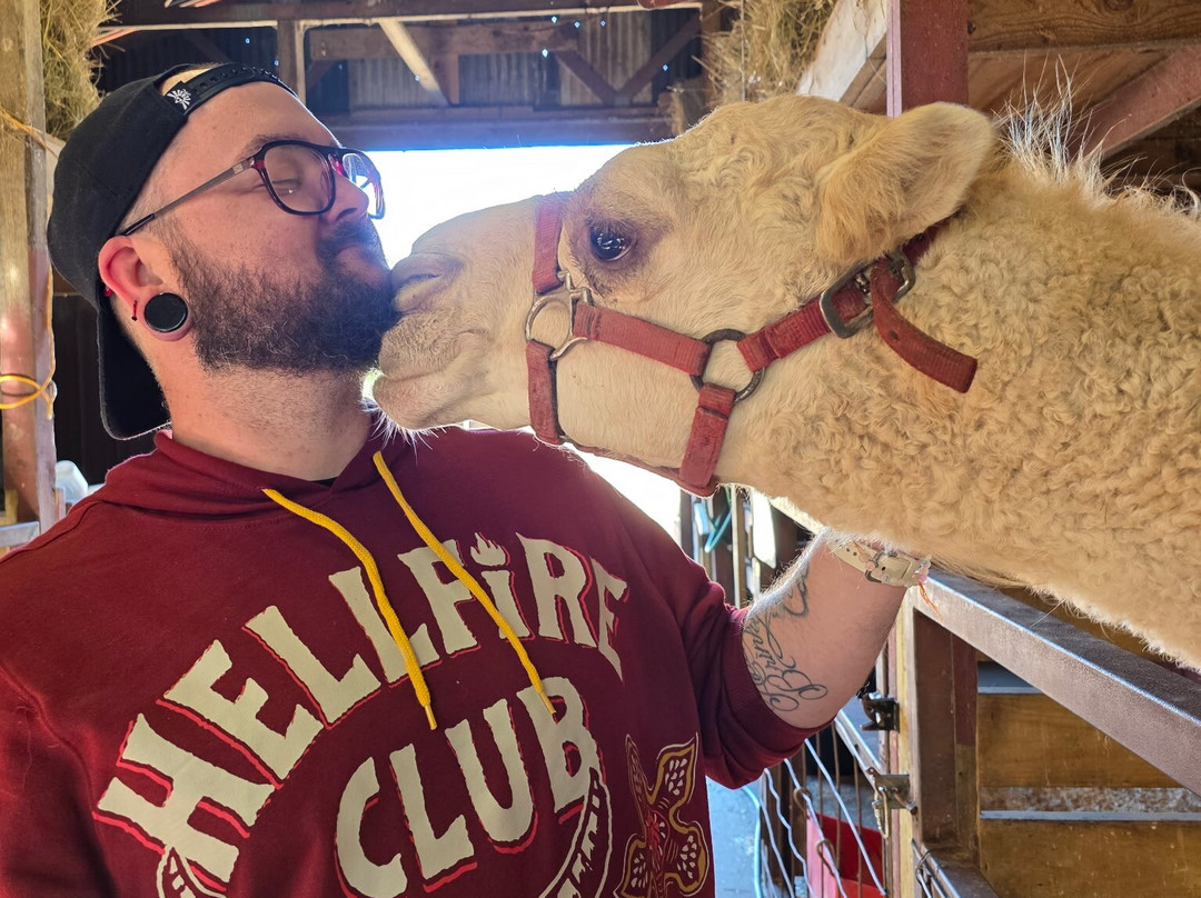 Hochatown Petting Zoo-Broken Bow必去景点