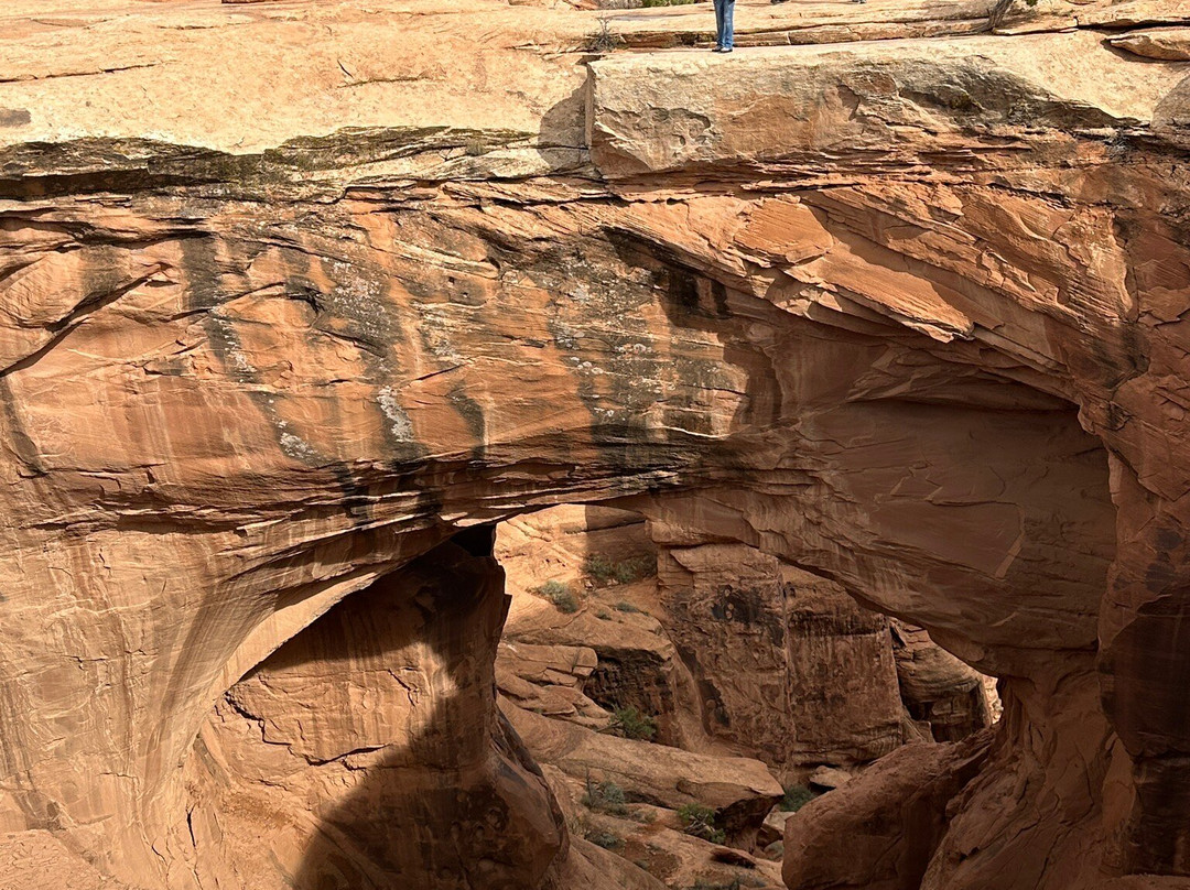 Epic 4x4 Adventures-莫阿布必去景点