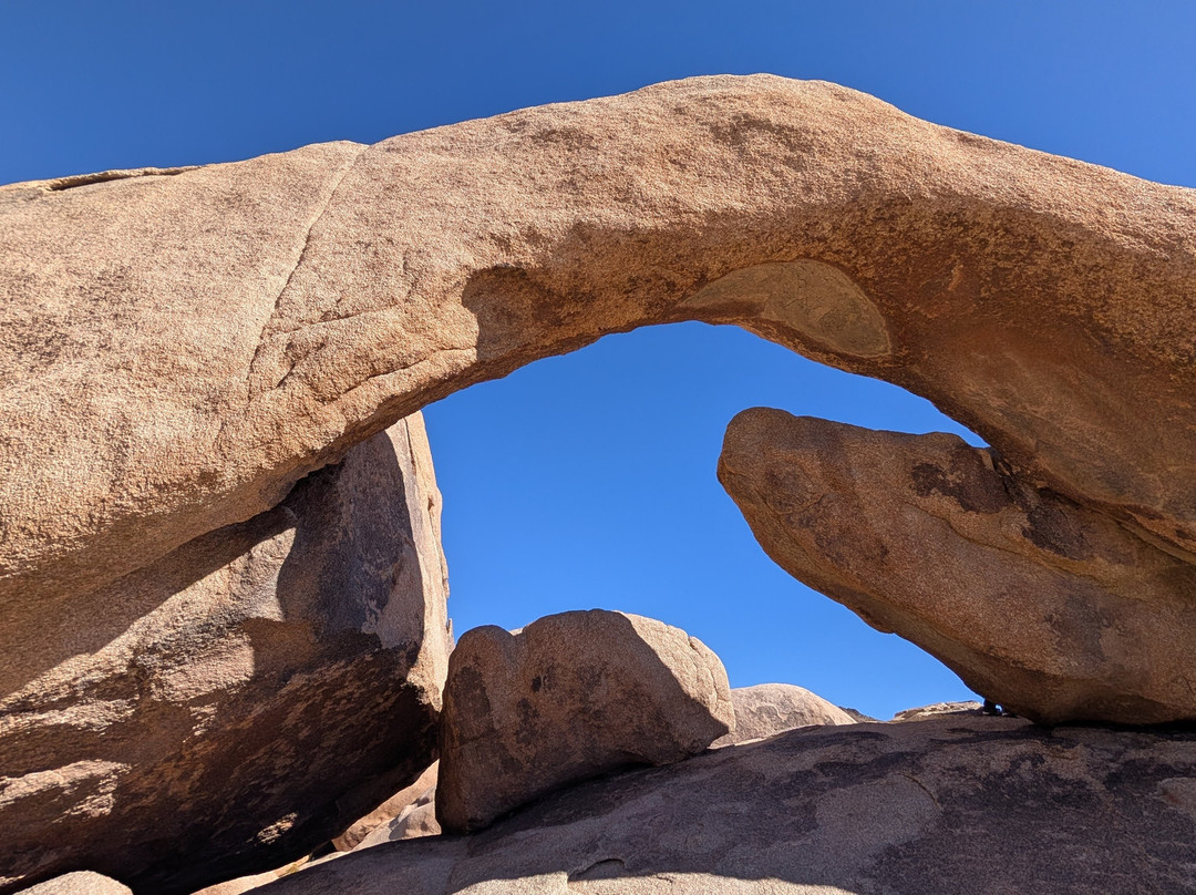 Joshua Tree National Park-约书亚树必去景点