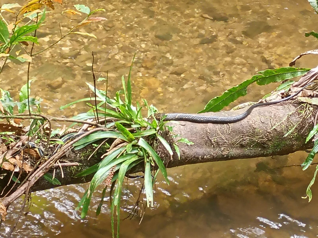 Parque das Grutas e Cavernas de Botuverá-Botuvera必去景点