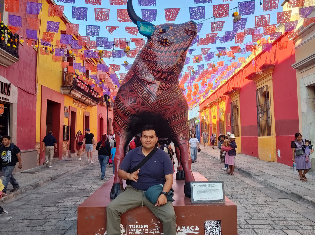 Jar8's Tours-Nanchital de Lazaro Cardenas del Rio必去景点