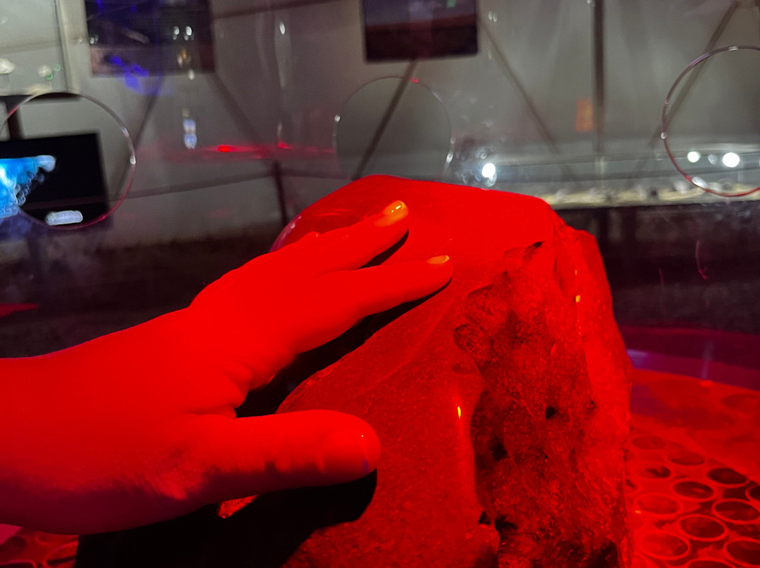 Museo del Meteorito-圣佩德罗-德阿塔卡马必去景点