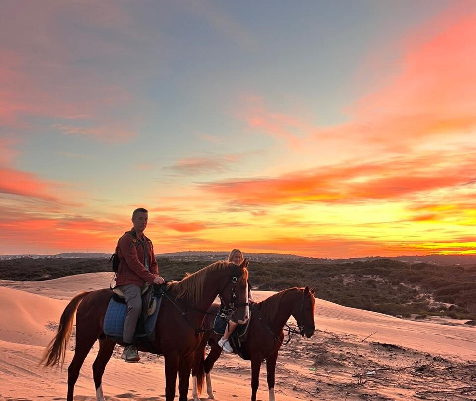 Mogador Horse-Diabat必去景点