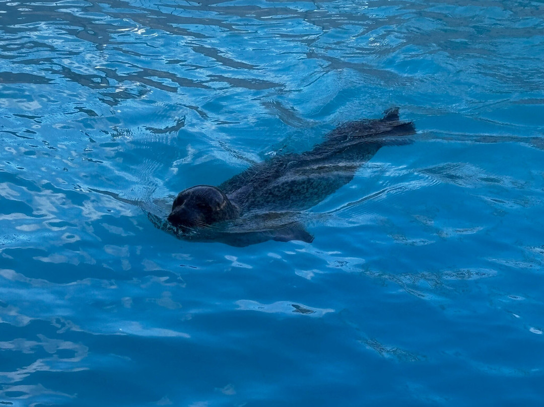 Bio-topia-敦克尔克必去景点