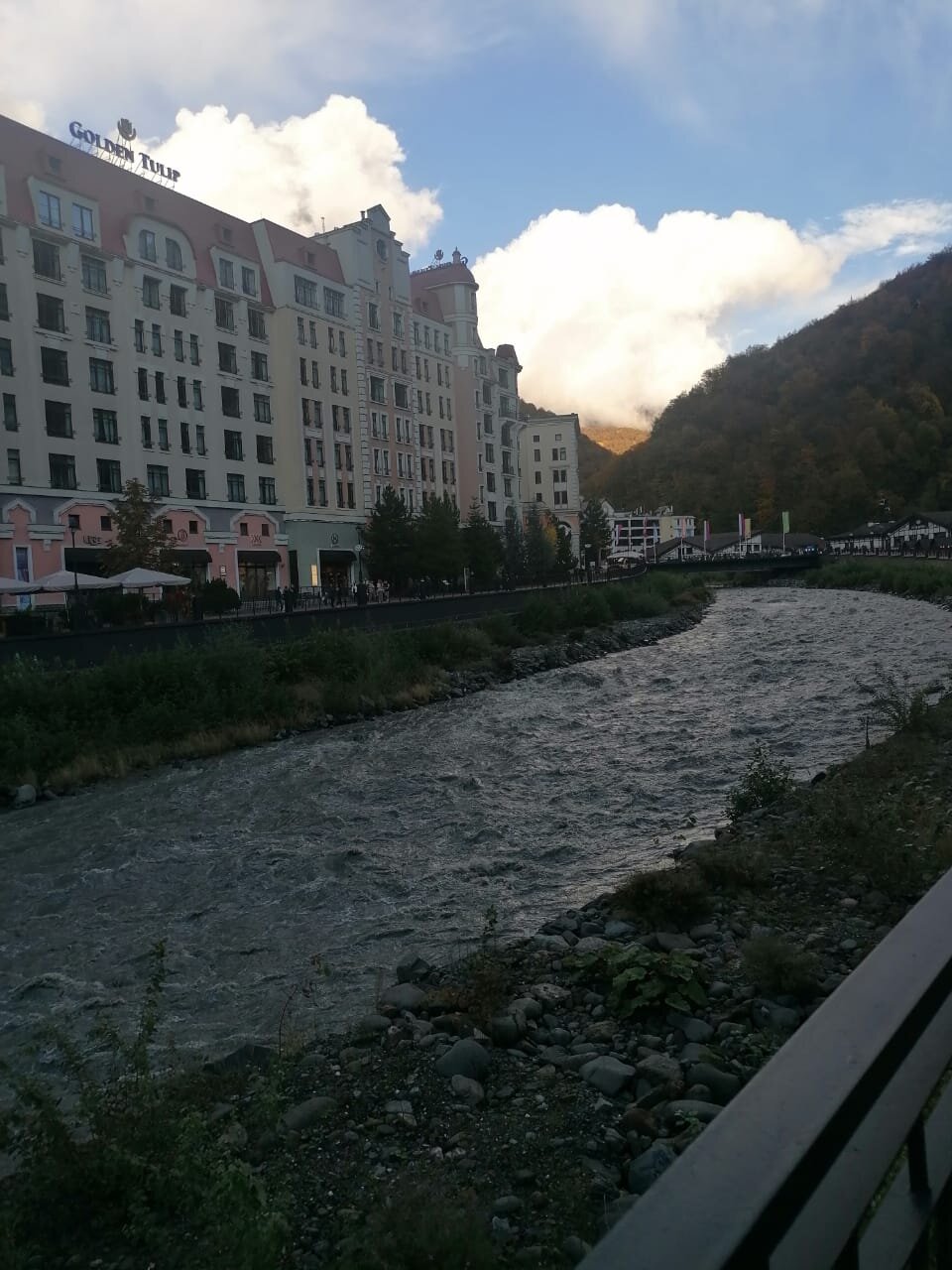 Golden Tulip  Hotel-官方