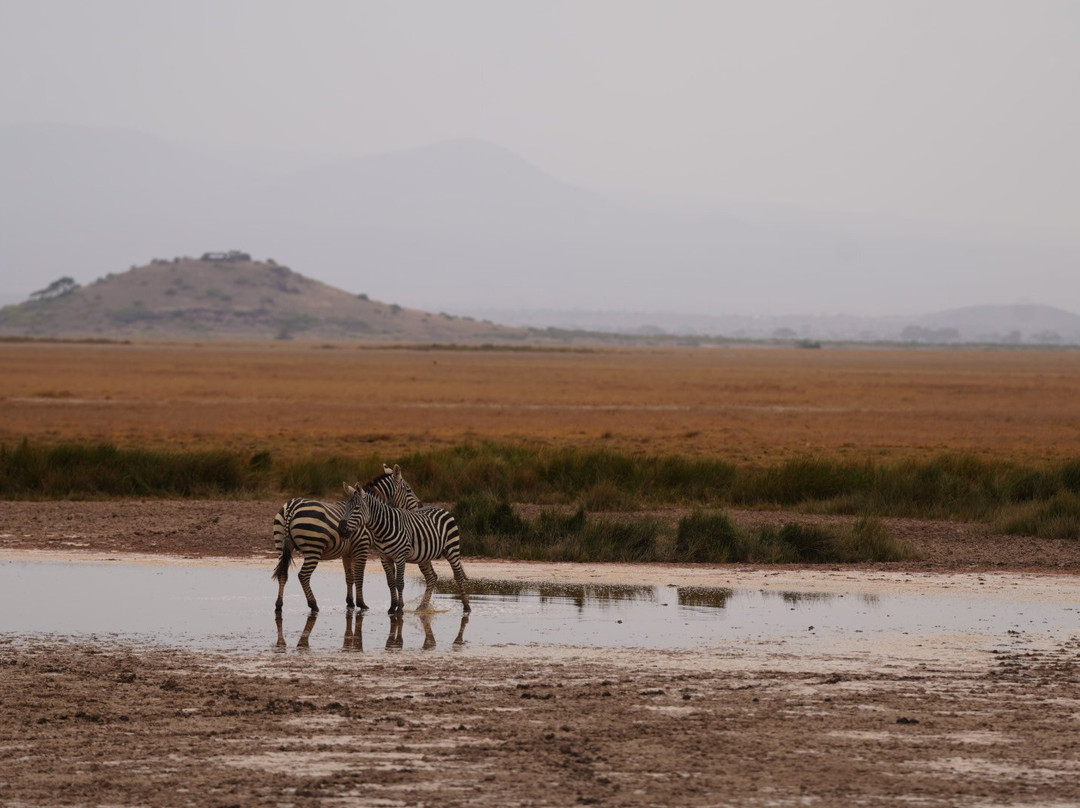 African Home Adventure Safaris-内罗毕必去景点