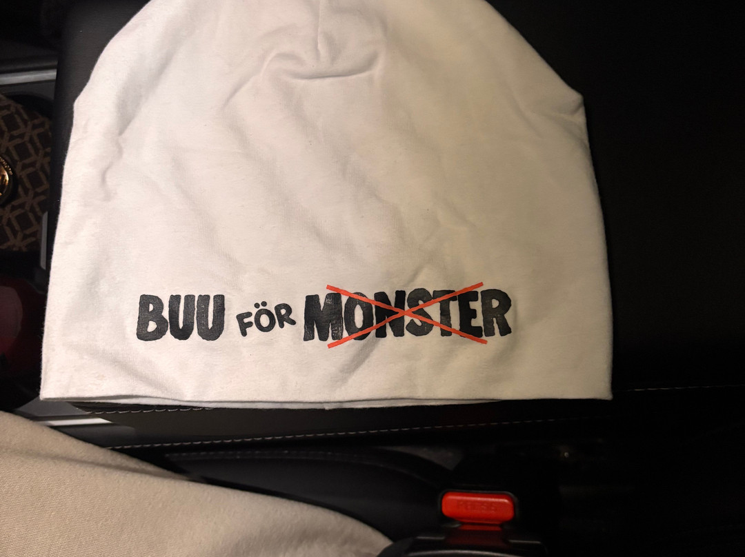 Furuviksparken-Furuvik必去景点