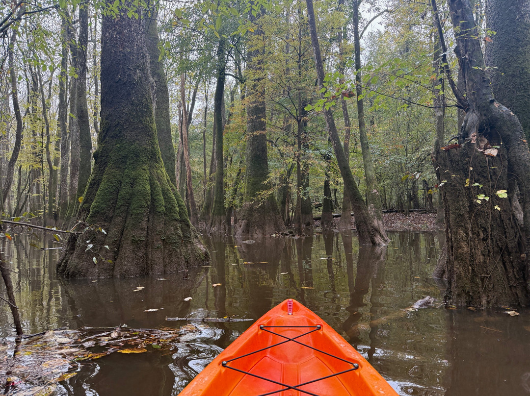 Carolina Outdoor Adventures-厄莫必去景点
