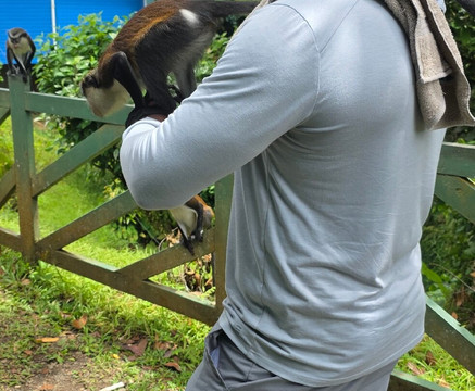 Kell The Tour Guide-St. George's必去景点